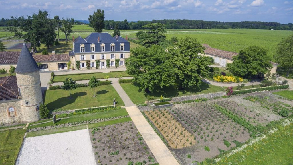 Immersion in the heart of Château Guiraud - Sodivin Le blog