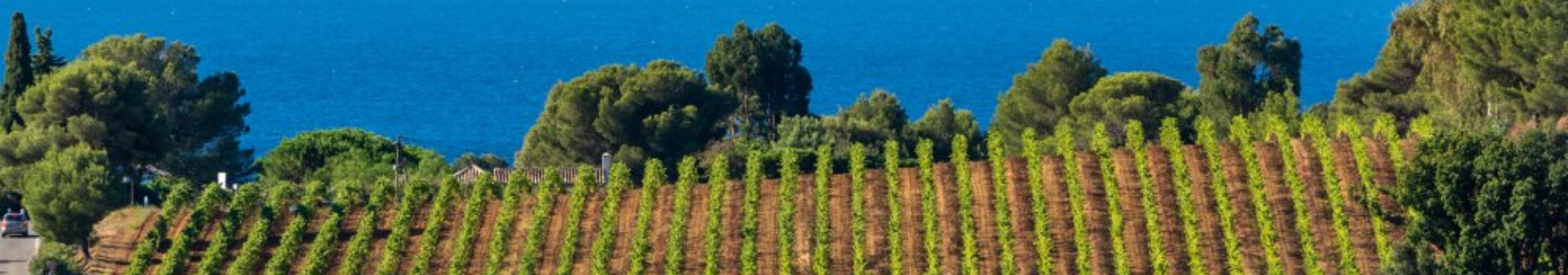 Provence Region