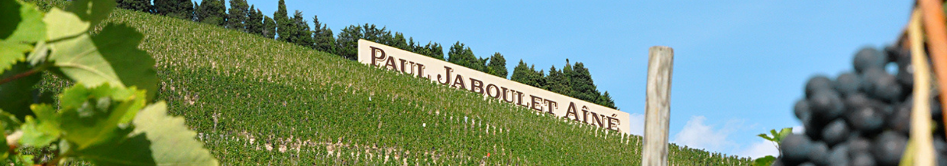 Paul Jaboulet Aine