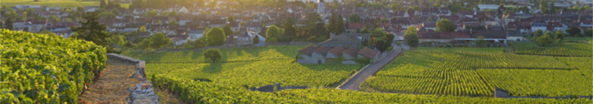 Domaine Jean Louis Trapet Pere Et Fils