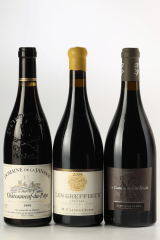 Wine Selection: Journey Through the Rhône Valley