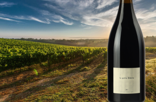 DOMAINE DU CLOS DES FÉES La Petite Sibérie Magnum 2012