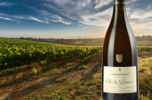 PHILIPPONNAT Clos des Goisses 2012