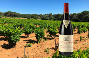 CHÂTEAU RAYAS 2010