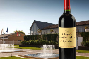 CHÂTEAU LEOVILLE POYFERRE 2010
