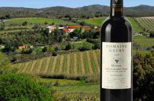 DOMAINE GAUBY Muntada 2008