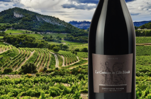 DOMAINE CHRISTOPHE PICHON La Comtesse en Côte Blonde 2019