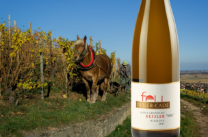 DOMAINE DIRLER-CADE Elément Feu Kessler H.W Sec 2021